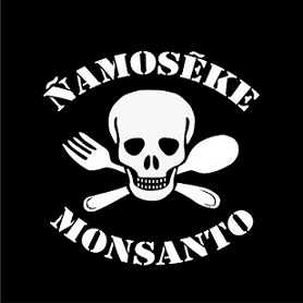 Paraguay: Campaña Ñamosêke Monsanto adhiere a la huelga general